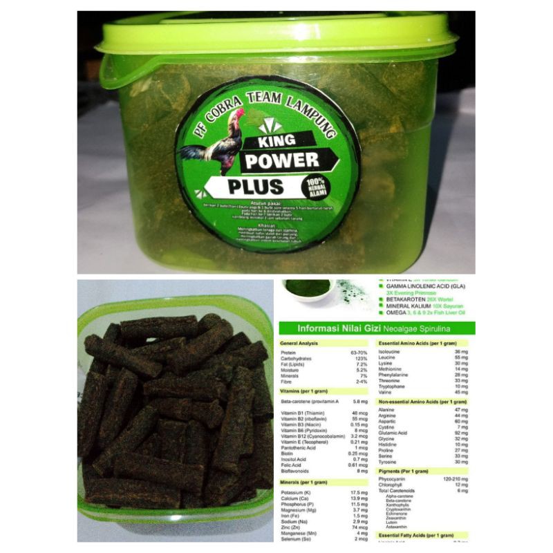 JAMU AYAM ADUAN JAMU AYAM RAWATAN KING POWER PLUS