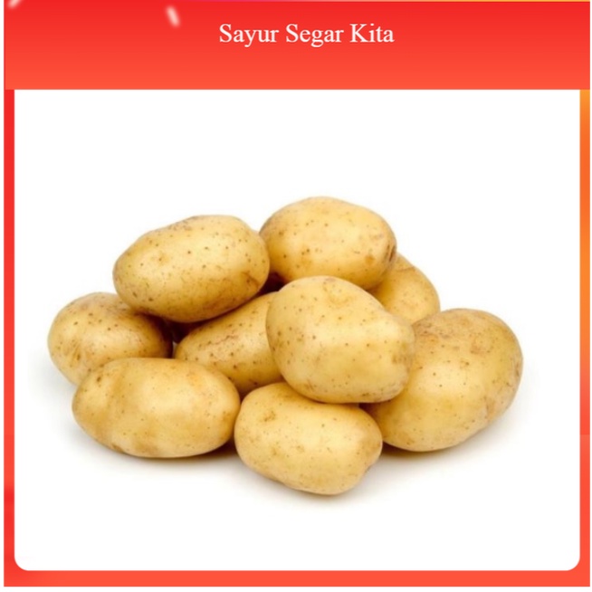 

Kentang Baby 3 x 500 gr (1500 gr)