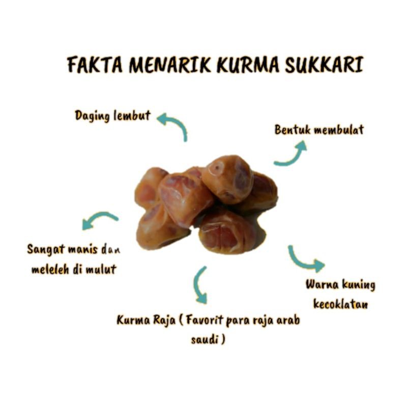 

Sukkari kurmanya raja