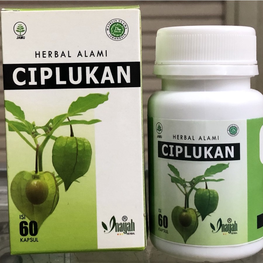 CIPLUKAN KAPSUL ORIGINAL [INAYAH] – OBAT HERBAL DIABETES – HYPERTENSI – REMATIK – SAKIT PARU-PARU – INFLUENZA