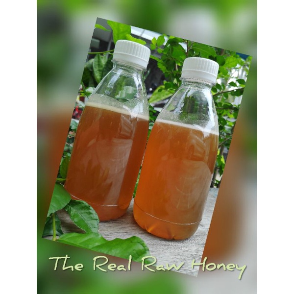 

Madu Hutan Raw Honey