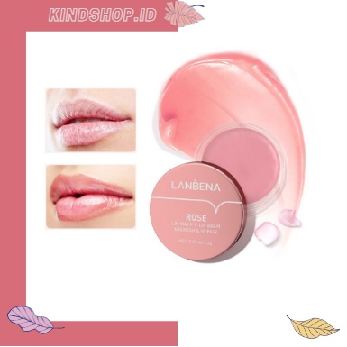 KINDSTORE❤ | LANBENA Lip Balm Mask Gel Masker Bibir 6.5g