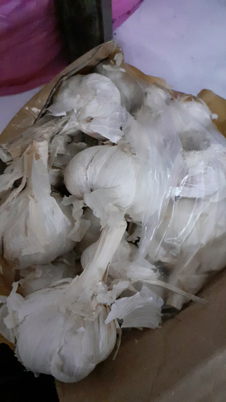 Bawang Putih Kating Kotor 1kg