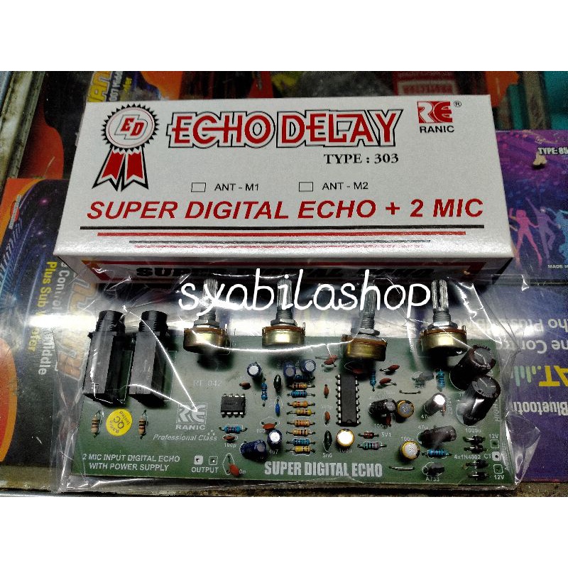 KIT SUPER DIGITAL ECHO DELAY PLUS 2 MIC RANIC