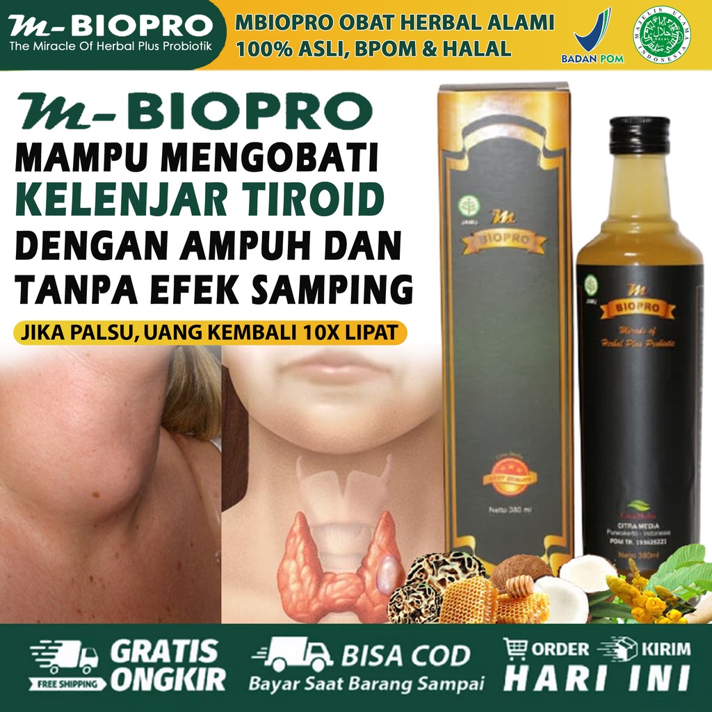 Jual Obat Kelenjar Tiroid, Benjolan Di Leher, Kelenjar Getah Bening ...