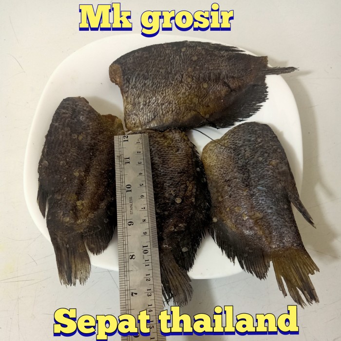 

ikan asin sepat thailand /bangkok jumbo-500 gram