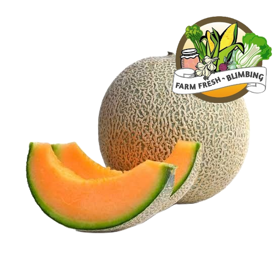 

Melon Orange 1pcs