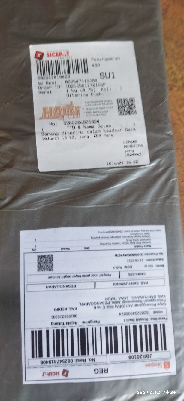 Gergaji Dahan Lengkung/ Graji Kopi/ Bonsai/ Pruning Viper 14/350mm