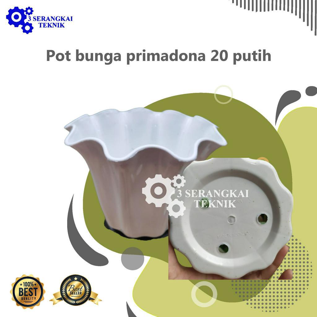 Pot bunga primadona 20 putih