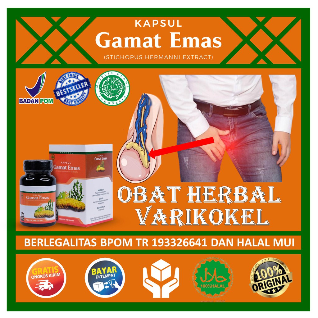 Kapsul Gamat Emas Obat Varicokel Obat Bengkak Buah Zakar Obat Buah Zakar Kendor Nyari Buah Zakar Sak