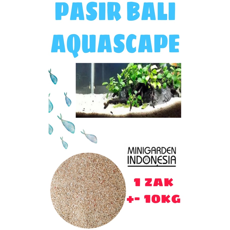 PASIR BALI ZAK KARUNG 10 KG media dasar aquarium aquascape pasir putih pantai