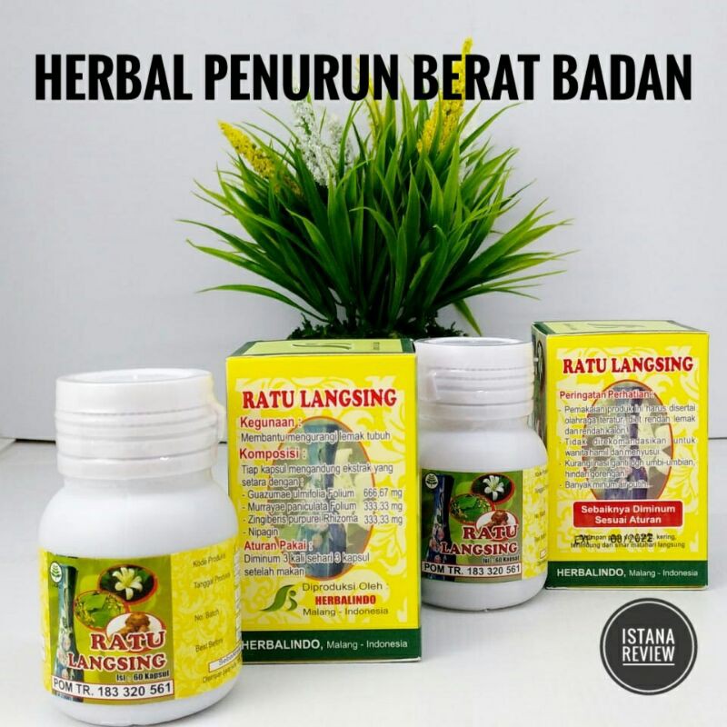 Herbal Penurun Berat Badan Ratu Langsing Jati Cina Trigonella