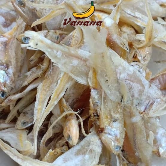 

ikan asin bulu ayam per 250gr