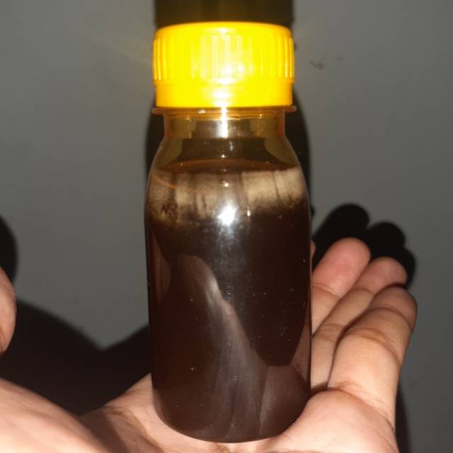 

Madu odeng hutan baduy hitam pahit 100gram