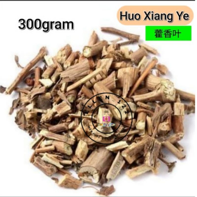 [300gram]  Huo Xiang / Fu Xiang Ye -  Herba Agastaches Rugosus