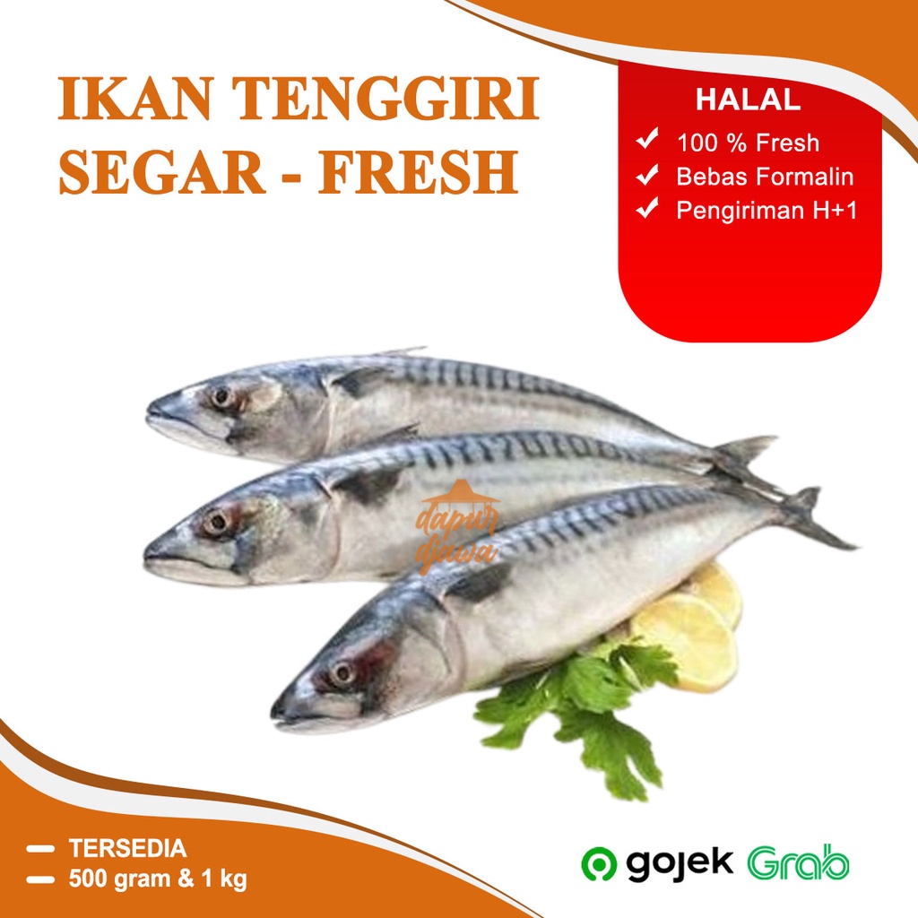 

IKAN TENGGIRI LAUT SEGAR BEKU FROZEN FRESH GEPENG 500 GR 500GR 1 KG 1KG