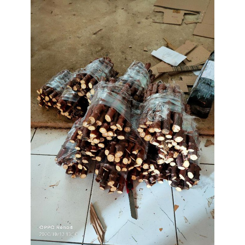 

Batang singkong gading