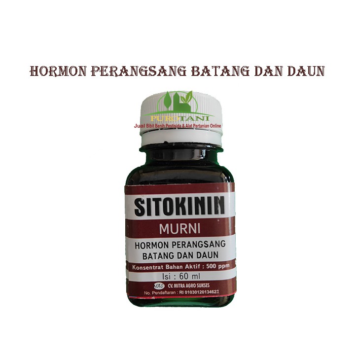 Hormon Sitokinin Murni ZPT Batang Dan Daun