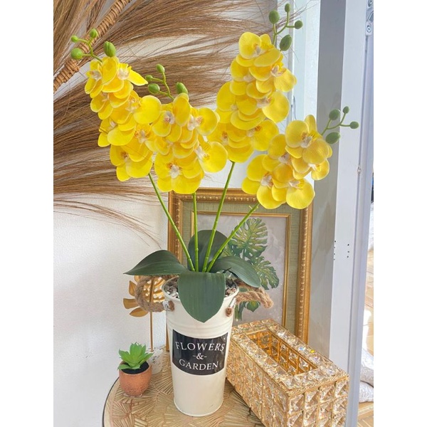 ANGGREK LATEX VAS KALENG