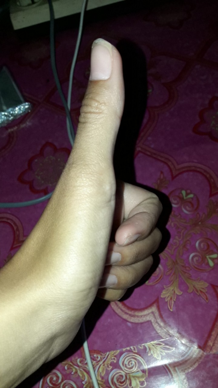 Cetakan Bolu Mini Ukuran 12 Cm - 1 Lusin