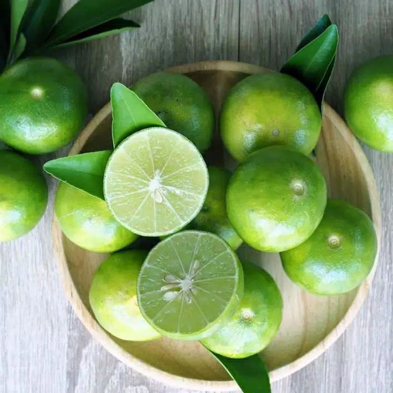 

jeruk nipis segar setengah kilo