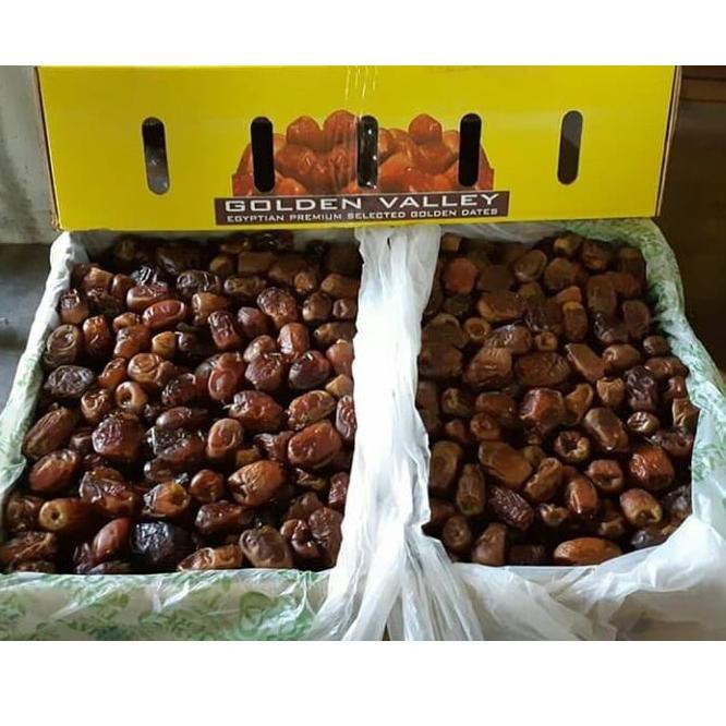 

Top_murah ECER 1 kg 1kg Kurma Mesir Golden Valley E50E1 .,,!