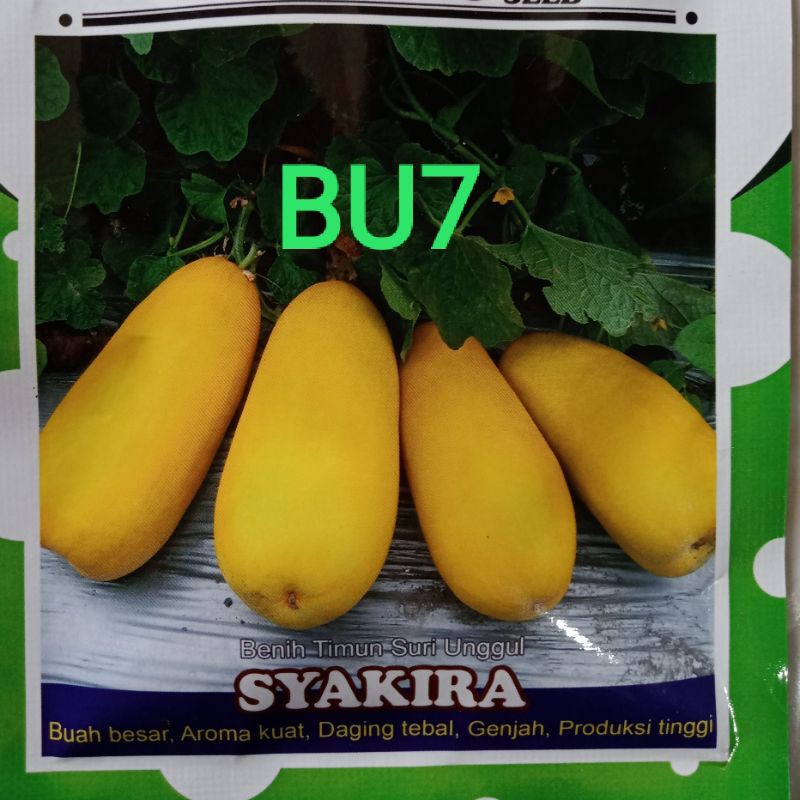 Benih Buah Semangka Merah Kuning Melon Pepaya California Timun Apel Suri Blewah Terong Belanda-BU7 Timun Suri