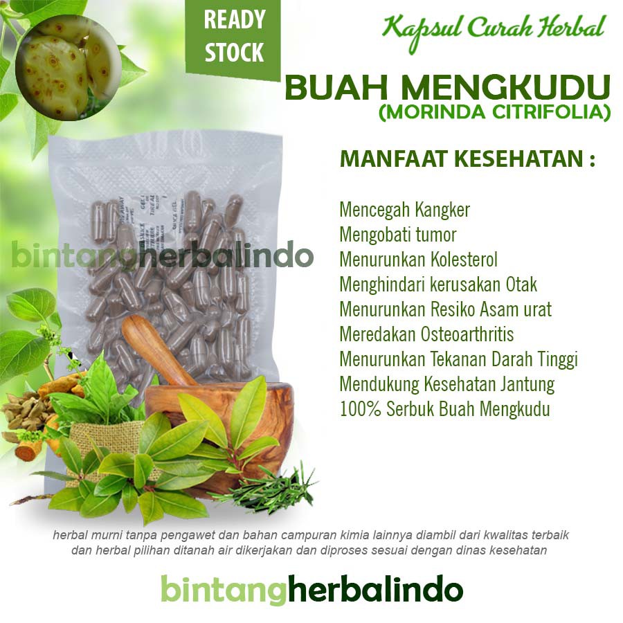 

Kapsul Curah Herbal BUAH MENGKUDU 200x600 mg Arthritis Kolesterol Diabetes