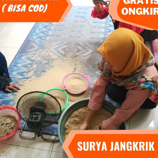 

➘Sale➘ 89KGA agen jual telur jangkrik alam kualitas super 100 gram 62 ✵Terbatas