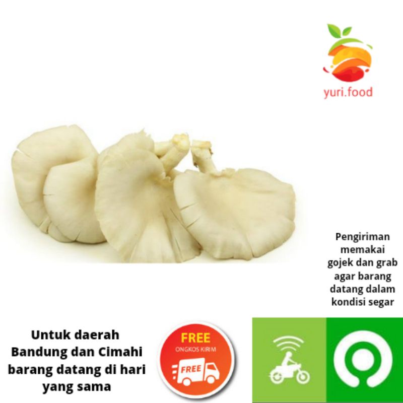 

Jamur tiram 200gram (Cimahi satu hari sampai)