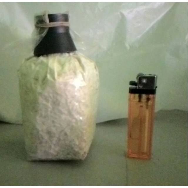 Bibit Jamur Tiram Putih media gabah, kemasan plastik siap tebar.