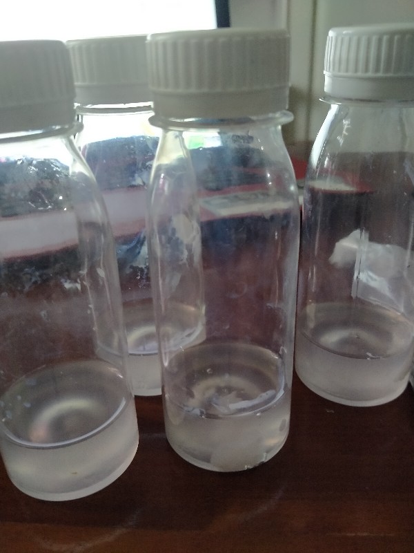 Waterglass Botolan 100 Ml