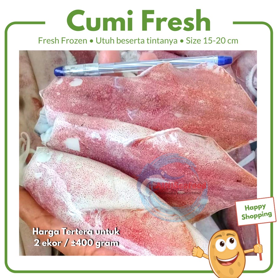 

cumi besar segar utuh beserta tintanya