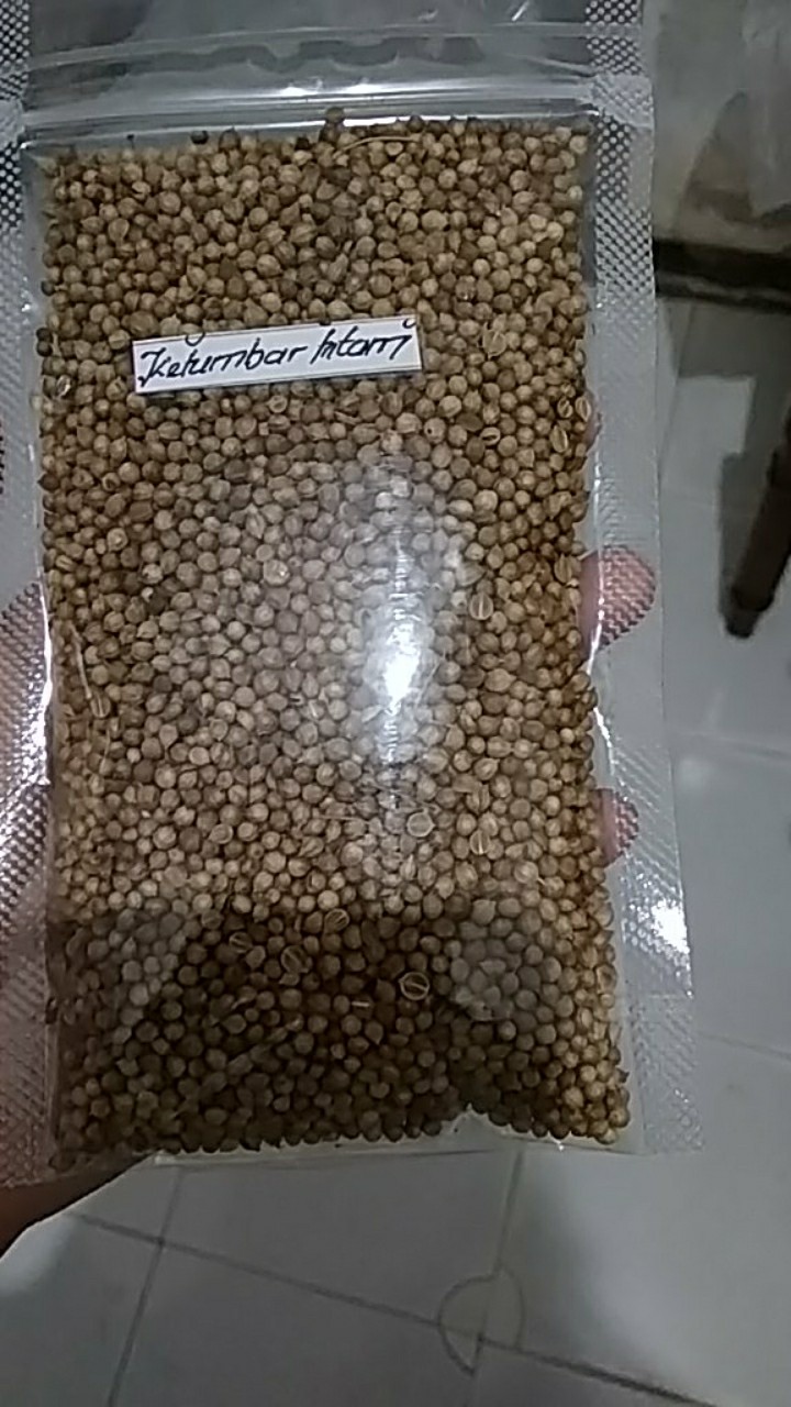 Ketumbar hitam organik 100 % premium herbal rempah jsr ...