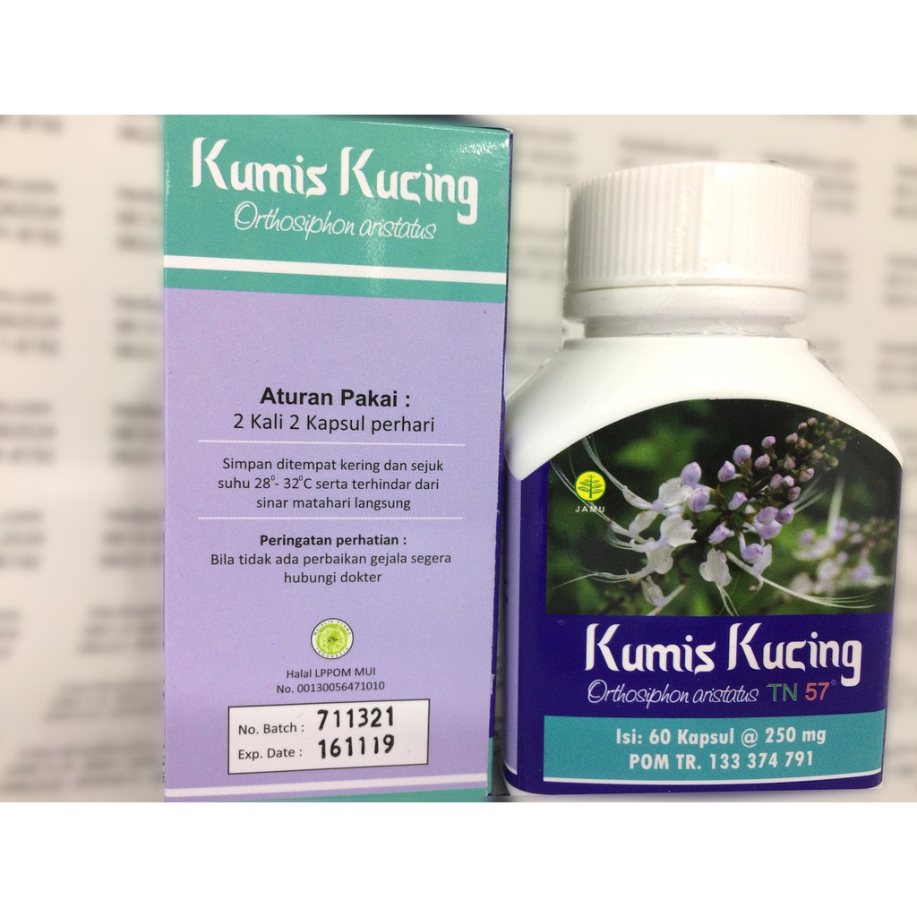 Kapsul Kumis Kucing Obat Herbal Kencing Batu Infeksi Kandung Kemih Anyang Anyangan Shopee Indonesia