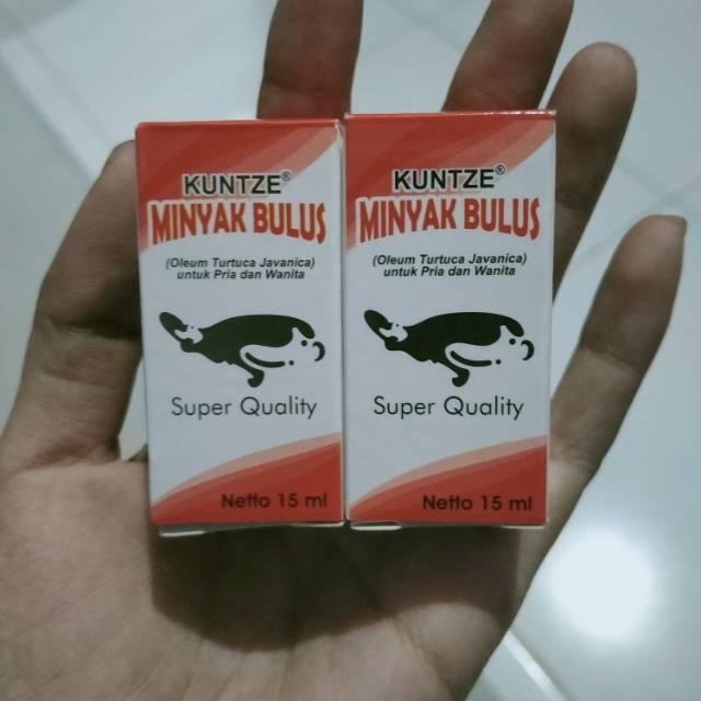 MINYAK BULUS KUNTZE