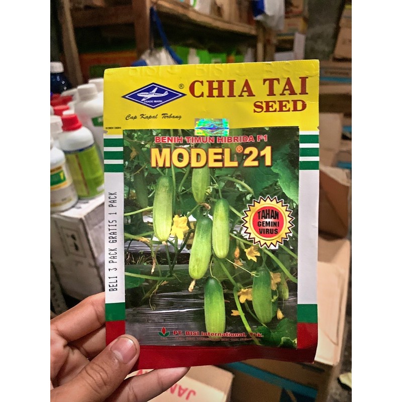 Benih Timun Model 21 20 gr Hibrida F1