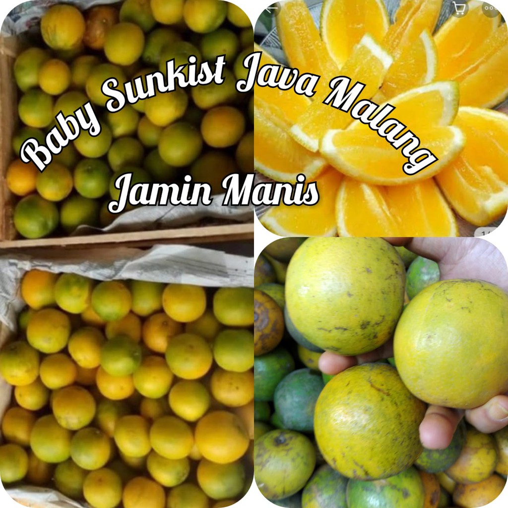 

Sunkist Baby 1 kg | Baby Sunkist Java Malang | Jamin Manis Dan Banyak Air Full Vitamin C