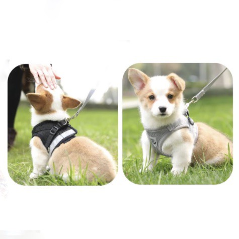 [HOT SALE] NEW TALI KUCING HARNESS ANJING KUCING TALI TUNTUN KUCING TALI KUCING HARNESS KUCING ROMPI BAJU KUCING CAT LEASH DOG LEASH