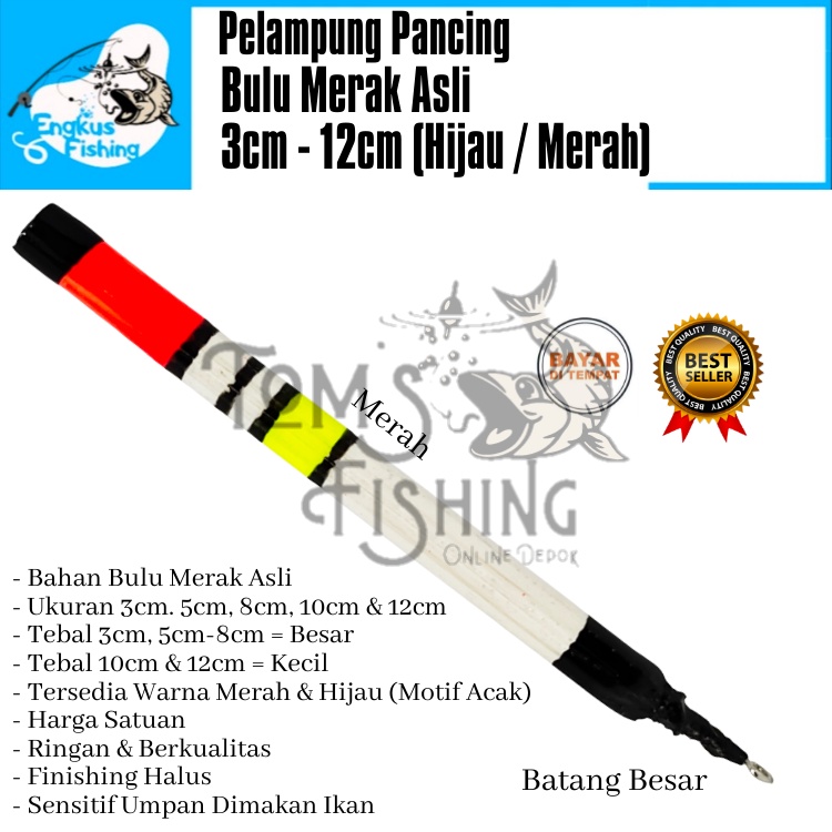 Pelampung Pumbul Pancing Bulu Merak Asli 3cm - 12cm (Merah / Hijau) Original Murah - Engkus Fishing