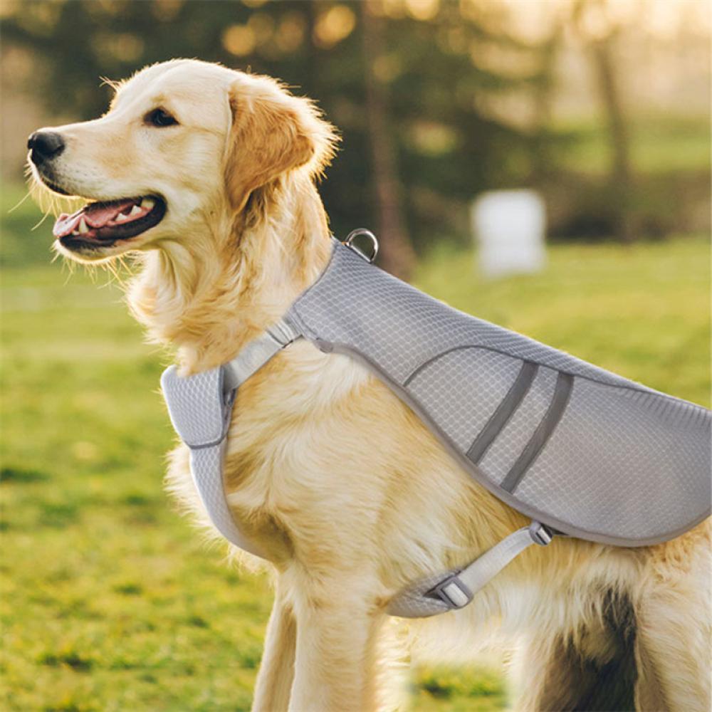 Timekey Rompi Anjing Adjustable Ukuran S-XL Untuk Musim Panas F5O8