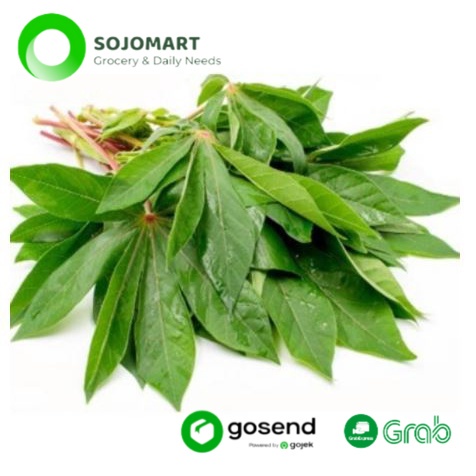 

Daun Singkong per Ikat Segar Murah Sayur Online Medan