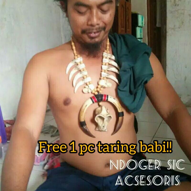 Kalung etnik dayak/ taring babi/ kalung etnik