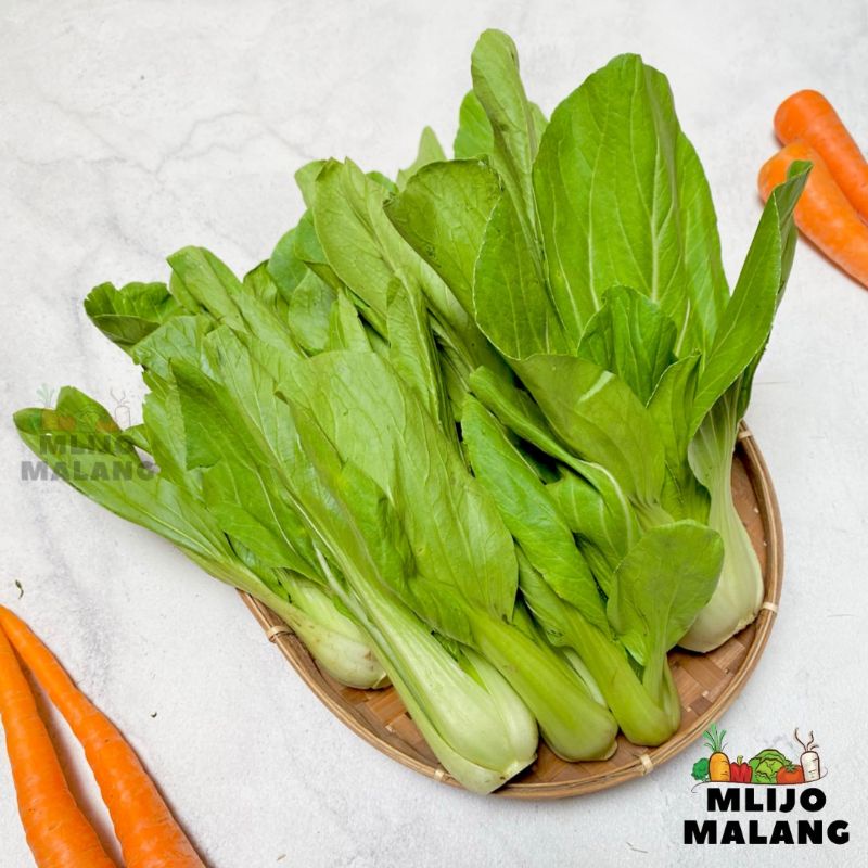 

Sawi Daging / Pakcoy / Pak Choy