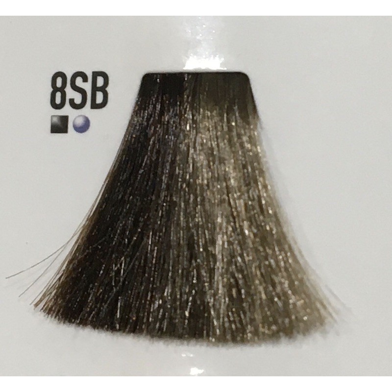Goldwell Topchic Hair Color 60ml &amp; Oxydant 120ml Kode 8SB