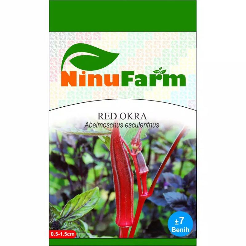 BENIH RED OKRA / BIBIT OKRA MERAH // Tanaman Hias Murah Bunga Hias Bunga Kering Aglonema