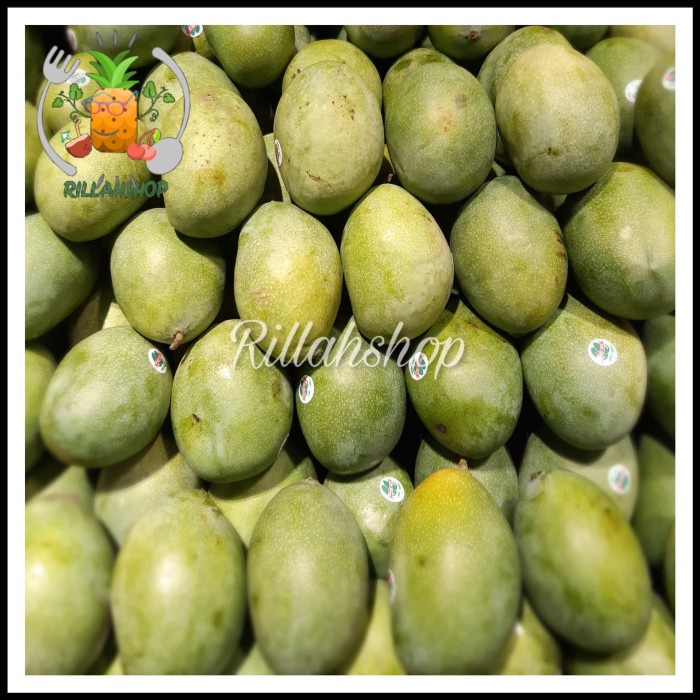 

Buah Mangga Manalagi KG