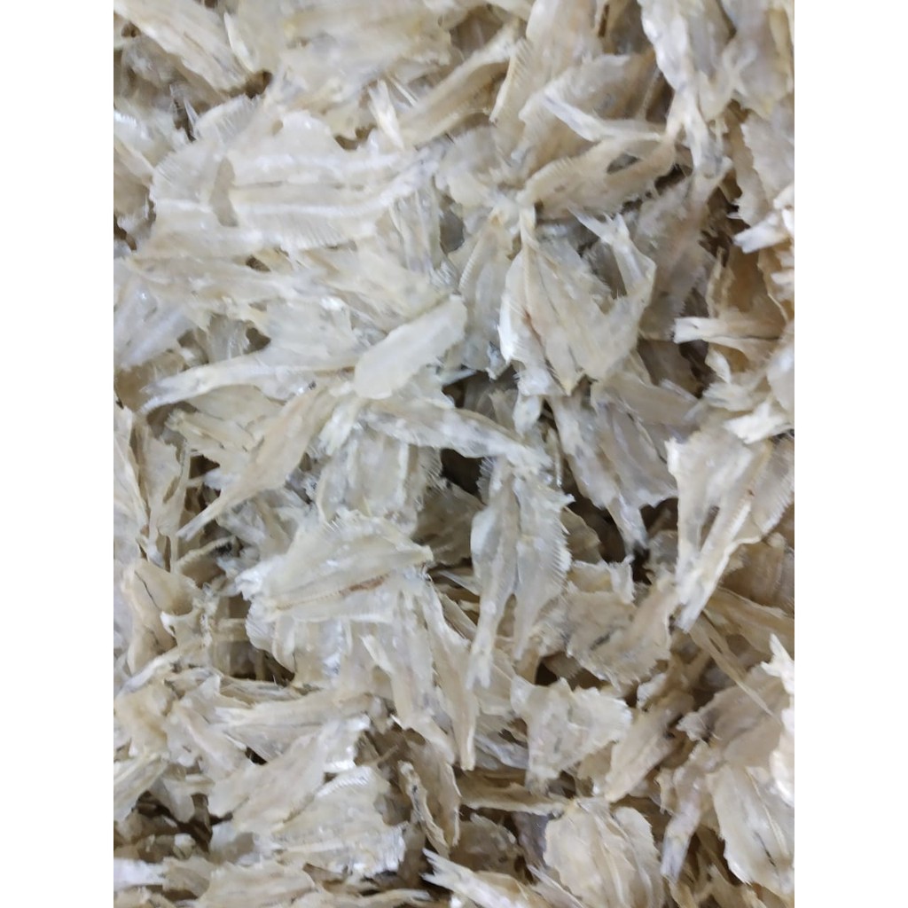 

Ikan pakang super 1 Kg