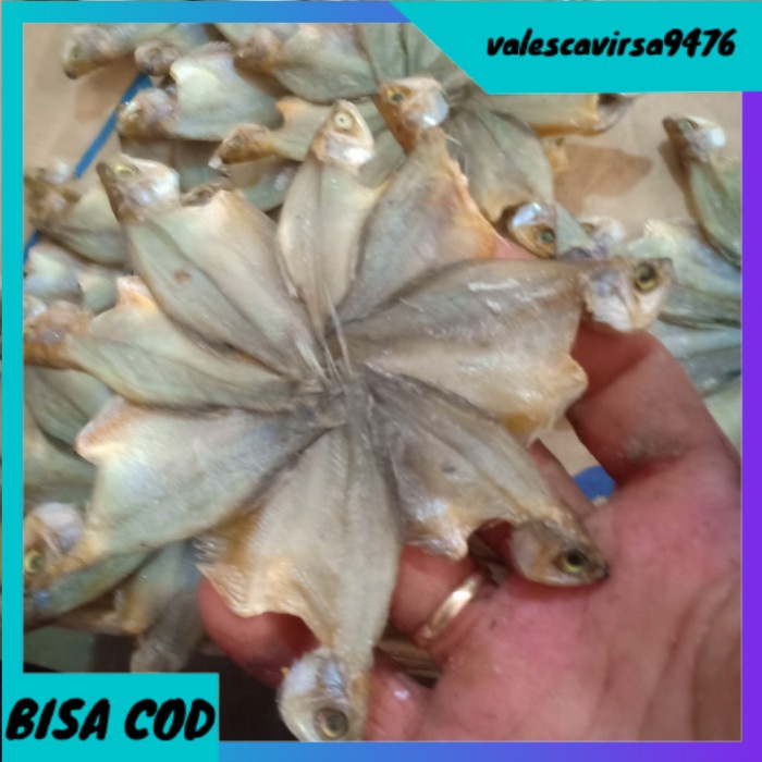 

⭐BISA COD⭐ ikan asin sepat kecil bintang per 500gr
