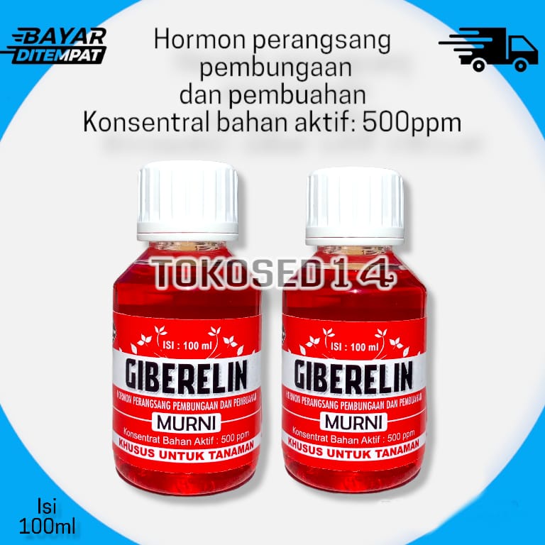 GIBERELIN MURNI 100 ML giberlin